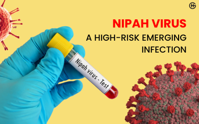 Nipah Virus A High-Risk Emerging Infection